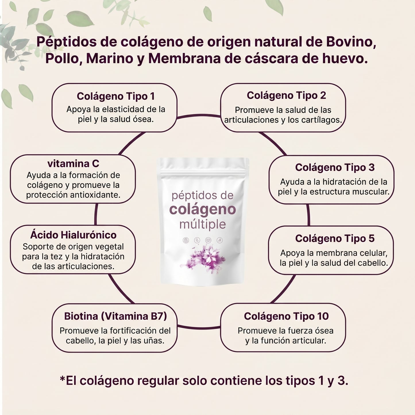 Colágeno Antienvejecimiento